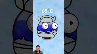 Country with lowest temperature in the World countryballs reactionvideo [upl. by Yun461]