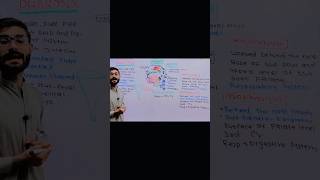 Laryngopharynx Division of Pharynx Structure and Functions anatomy viralvideo neet biology [upl. by Salvay]