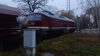 bhf Bernsdorf hbf T108109 mit Bv Gv in Sachsen am 111124 um 1614 Uhr [upl. by Hemingway]