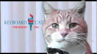 Keyboard Cat for President [upl. by Lars311]