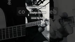 Déjeuner en paix  Stephan EICHER  cover by Seb [upl. by Dorlisa]