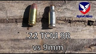 22 TCM 9R vs 9mm [upl. by Ymassej305]