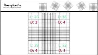 Hemocytometer calculation [upl. by Ahtaela]