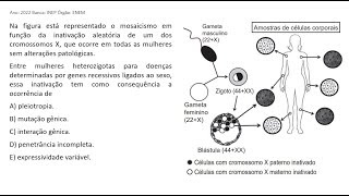 ENEM 2022  Na figura está representado o mosaicismo em função da inativação aleatória de um dos [upl. by Name]