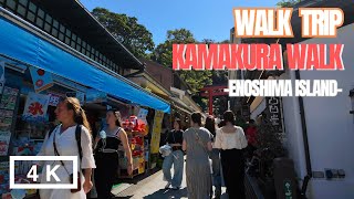 Walk Trip in Kamakura  Enoshima Island  4K [upl. by Anoniw]