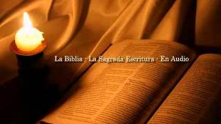 La Biblia Católica en audio 03 Evangelio según San Mateo Capítulos 7 8 9 y 10 [upl. by Auof]