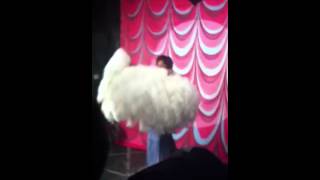 Jean Idelle Burlesque Hall of fame backstage footage [upl. by Callas]