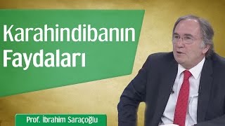 Karahindibanın Mucizevi Faydaları  Prof İbrahim Saraçoğlu [upl. by Shien]