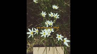 যারা আপনাকে অসম্ভব বলে নিরাশ করে‼️islamicshort motivational foryou flowers waz [upl. by Jock]