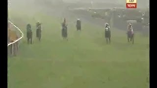 Horse race at Race course in Kolkata on New YEAR [upl. by Ridinger]