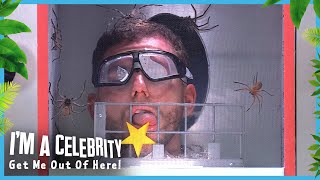 Dean Takes on Lethal Lab  Im A Celebrity Get Me Out of Here 2024 [upl. by Hgieleak]