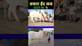 बकरा ईद कब है 2024 का  Bakra Eid kab hai 2024  Eid ul adha Date 2024  eid islamic shorts [upl. by Nitsraek525]