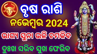 Brusha Rashi November 2024 Odia  ବୃଷ ରାଶି ନଭେମ୍ବର ୨୦୨୪  brusha rashi November 2024  Taurus [upl. by Lina]