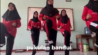 TUGAS PJOK SILAT DARI 8A [upl. by Ader]