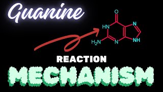 GuanineReaction Mechanism [upl. by Esther483]