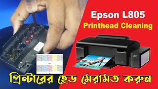 Print Head Cleaning Epson EcoTank  Epson L805 Print Head Install amp Replace [upl. by Hillier]