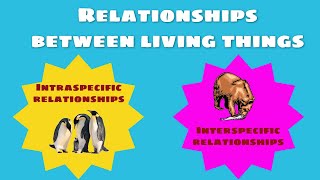 Relationships between living things intraspecific and interspecific relationships [upl. by Deena]