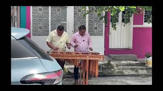 Domingo de marimba Tapachula ￼ [upl. by Tiga]