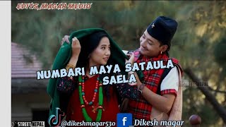 numberi maya satauna sailacoverlyricsAnju pantanepali song [upl. by Iadrahs]