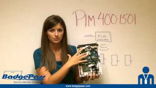 Lindsays Lessons  What is a PIM4001501 [upl. by Ecnerol287]