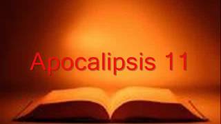 APOCALIPSIS completo Biblia hablada RV 1960 [upl. by Jeanelle]