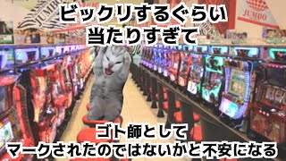 【ネタ動画】パチンコ屋あるある 【猫ミーム】 [upl. by Massab108]