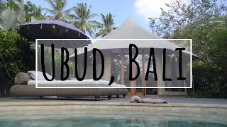 Luxury Camping Bali  Sandat Glamping Ubud  Property Tour [upl. by Clovah]