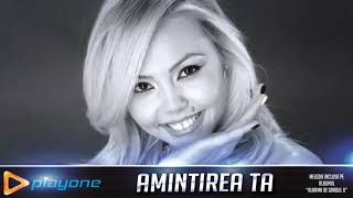 DENISA  Amintirea ta 2018 [upl. by Orvie]