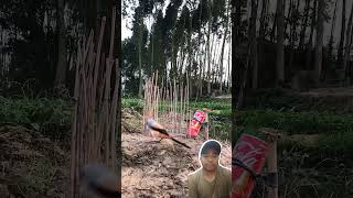 shortvideo trapping masukberanda comedy trap burung birdtrap [upl. by Maier]