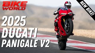 New Ducati Panigale V2  Eicma First Look [upl. by Fisoi]