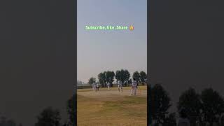 boundary cricketreels cricket cricketshorts trendingshorts pslfans pakvsausseries ipl icc [upl. by Esma802]