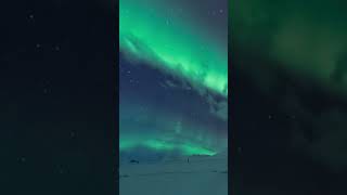 Spectacular Northern Lights  Aurora Borealis [upl. by Odnalro741]