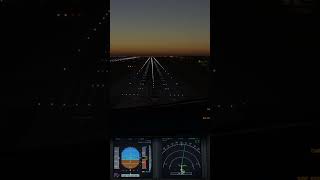 Fenix A320 Landing  KLAX  aviation msfs2020 msfspilot fenixsimulations [upl. by Ynobe936]