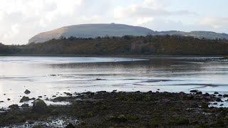 Ballisodare Bay Co Sligo 527pm 3March2024 [upl. by Karin]