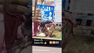 Chorni 23 india 🇮🇳 panjab farmar chori like farming panjab india viralreels shortvideo [upl. by Onitnas225]