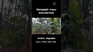 8 Acre Areca Nut Farm With Farm House For Sale Thirthahalli Karnataka Resort Land Agricultural Farm [upl. by Barnaba847]