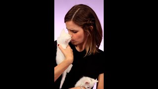 Emma Watson with kittens  instant serotonin boost [upl. by Endor532]