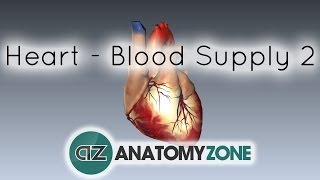 Blood supply to the heart  PART 2  Anatomy Tutorial [upl. by Kwarteng833]