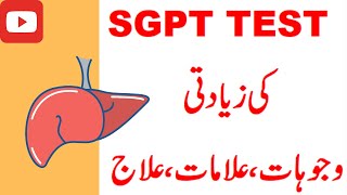 SGPT Test in Urdu Causes of High SGPT Symptoms Treatment amp Normal Range [upl. by Eelik791]