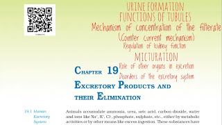 Excretory products and their elimination NCERT Part  3 For NEET [upl. by Noremak]