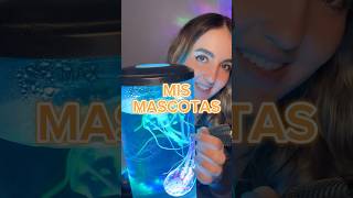 Mis mascotas medusas 🪼 asmr [upl. by Tneicniv]