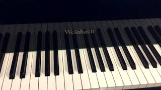 WeinbachPetrof piano 53 [upl. by Remle433]