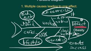 Cause and Effect Fishbone Diagrams [upl. by Helas778]