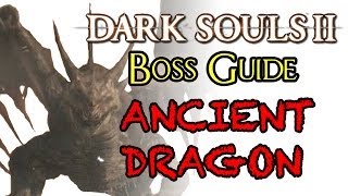 Dark Souls 2 Boss Guide Ancient Dragon [upl. by Fital]