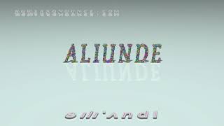 aliunde  pronunciation [upl. by Wendelina978]