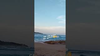 southafrica KwaZuluNatal fishinglife beach nature oceanwaves youtubeshorts youtube [upl. by Linus223]