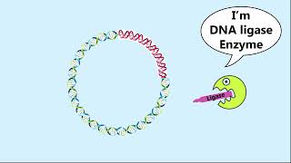 animation of rDNATech of gene cloning👌 [upl. by Nnoved]