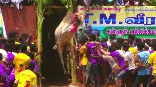 SUPER JUMP IN KALLUR JALLIKATTU 2019 [upl. by Gleeson347]