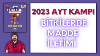 Bitkilerde Madde İletimi AYT Biyoloji Kampı Konu Anlatımı 12Sınıf 2024 Tayfa [upl. by Ebeneser]