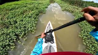 Circumnavigating Boyd Mill Pond On A SUP [upl. by Janifer755]